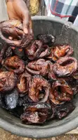 Freshly Smoked Catfish - 1
