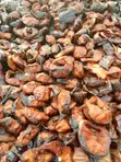 Freshly Smoked Catfish - 2