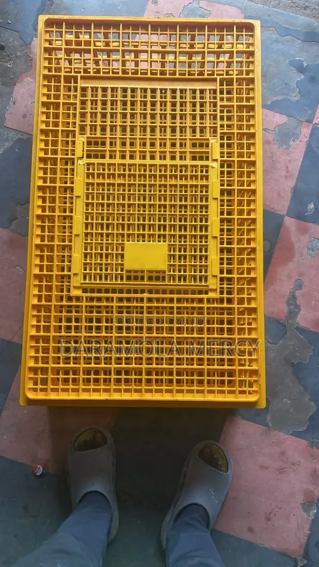 Transport Crate for Poultry - 1