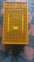 Transport Crate for Poultry - 1