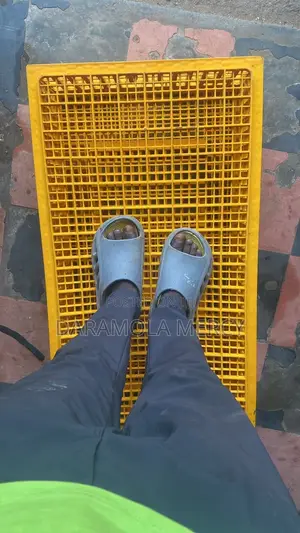 Transport Crate for Poultry