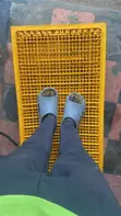 Transport Crate for Poultry - 2