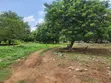 Filin Kasuwanci Mai Girma 26 Acres, Titin Jiragen Sama na Alakia - 2