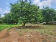 Filin Kasuwanci Mai Girma 26 Acres, Titin Jiragen Sama na Alakia - 3