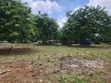Filin Kasuwanci Mai Girma 26 Acres, Titin Jiragen Sama na Alakia - 4