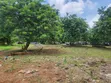 Filin Kasuwanci Mai Girma 26 Acres, Titin Jiragen Sama na Alakia - 5