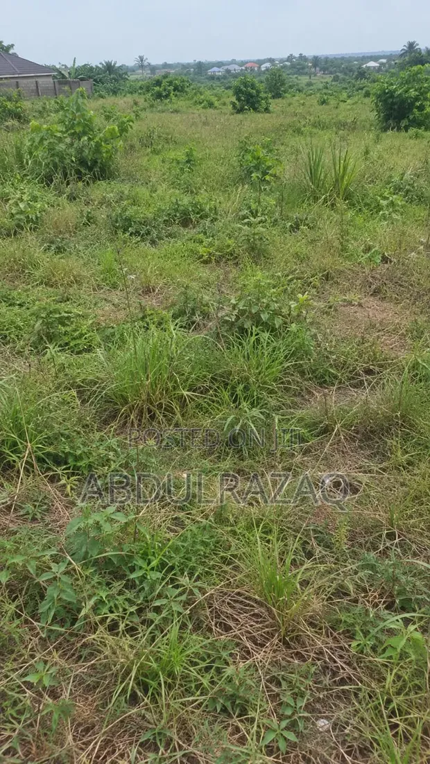 7 Acres Land for Sale, Igando Road, Lagos - 1