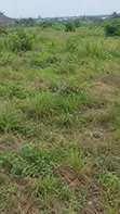 7 Acres Land for Sale, Igando Road, Lagos - 1