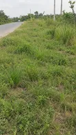 7 Acres Land for Sale, Igando Road, Lagos - 2