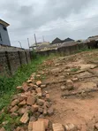 7 Acres Land for Sale, Igando Road, Lagos - 5