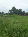 3 Plots of Land with CofO, Works Layout - 1
