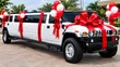 Wedding Car Ribbon Decoration Specialist - 2