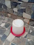 Manual Chicken Drinker don kiwon kaji - 3