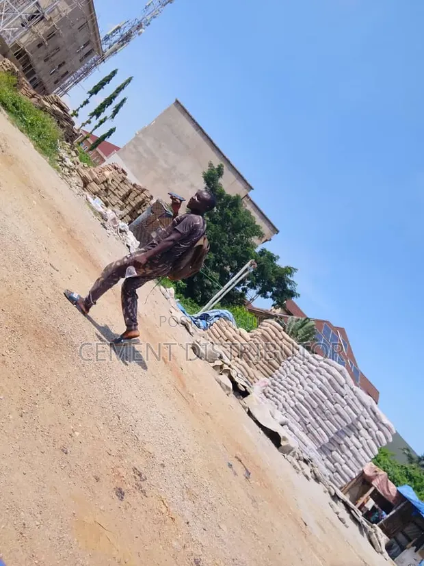 Dangote Cement & Lafarge Cement - 1
