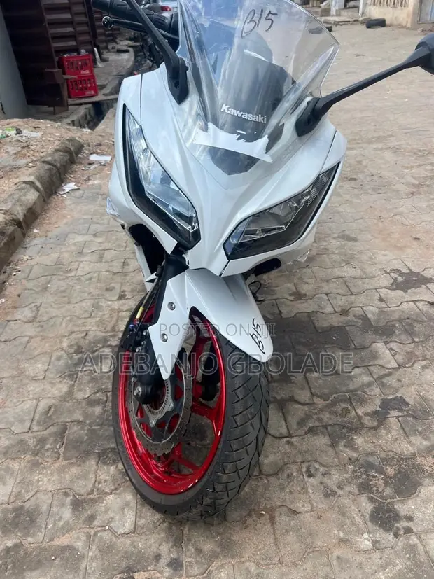 Kawasaki Ninja 300 2019 White - 1