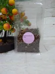 Mistletoe Leaf - Heart & Circulation Support - 2
