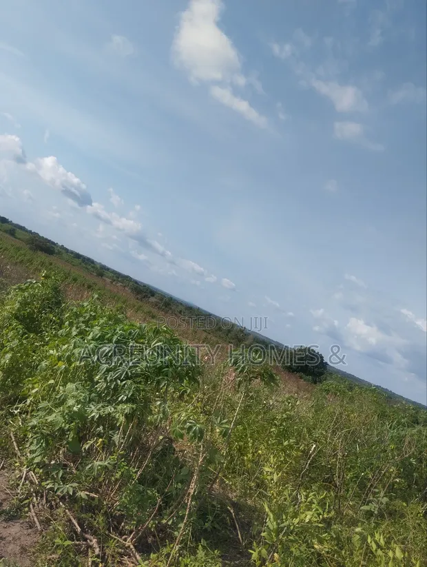 4000 Acres Fertile Farmland for Sale, Iwere-Ile - 1