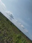 4000 Acres Fertile Farmland for Sale, Iwere-Ile - 2