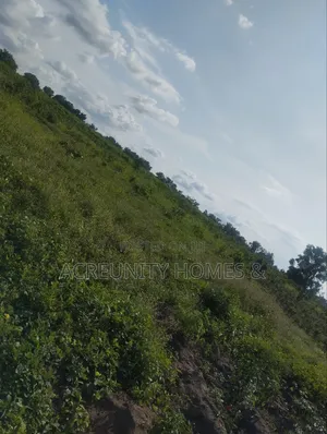 4000 Acres Fertile Farmland for Sale, Iwere-Ile