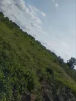 4000 Acres Fertile Farmland for Sale, Iwere-Ile - 3
