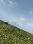 4000 Acres Fertile Farmland for Sale, Iwere-Ile - 4