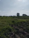 4000 Acres Fertile Farmland for Sale, Iwere-Ile - 5