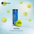 Slazenger 3-in-1 Lawn Tennis Balls - 2