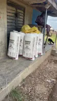 Grade 1 Gari Ijebu - 50kg - 4