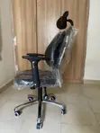 Kidney Shaped Ergonomic Chair - 2