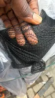 Safety Net 2m x 40m - 1