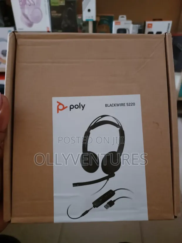 Poly Blackwire 5220 USB-A Headset - 1