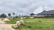 4 Plots of Land for Sale, Aba Road, Port Harcourt - 1