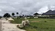 4 Plots of Land for Sale, Aba Road, Port Harcourt - 4