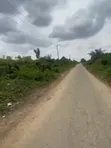 100 Plots of Land for Sale Behind Salvation Ministries, Igwuruta, PH - 2