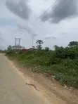 100 Plots of Land for Sale Behind Salvation Ministries, Igwuruta, PH - 5