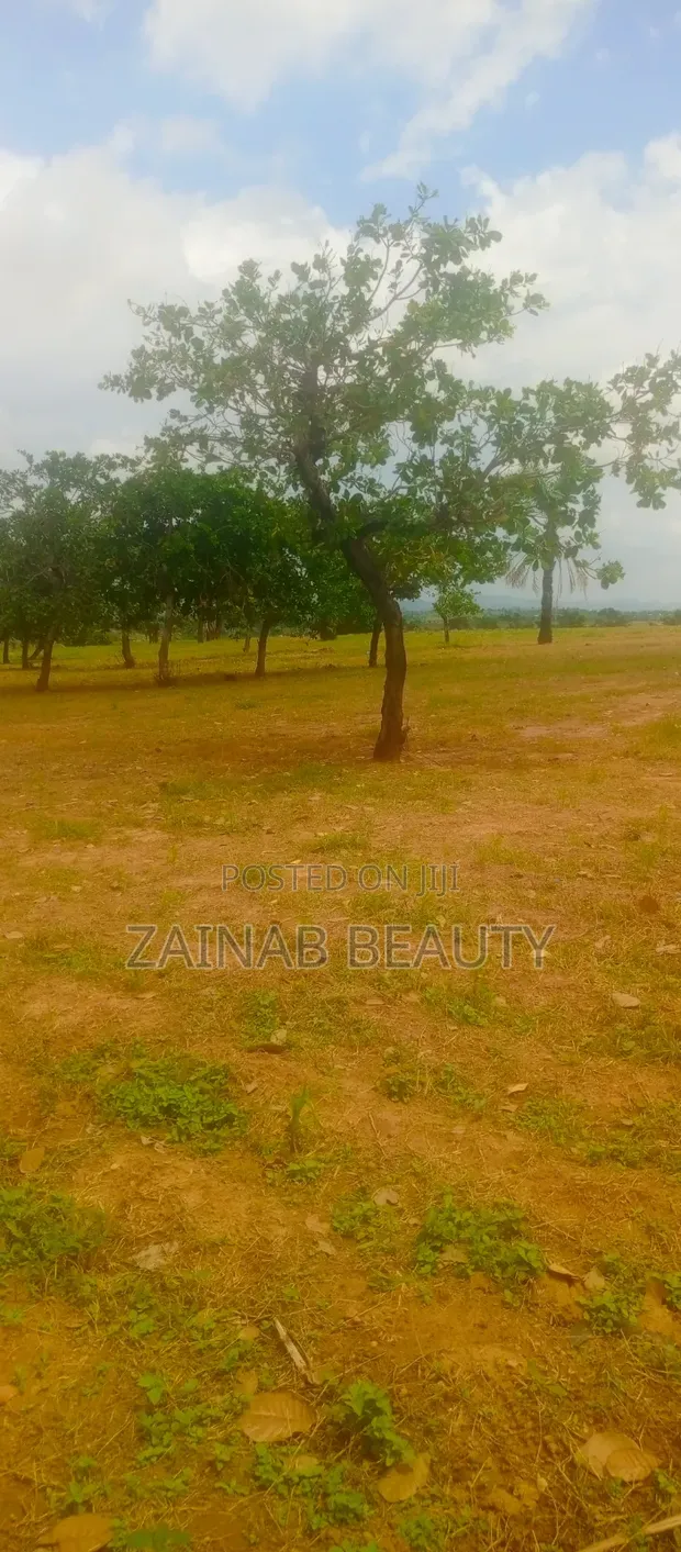 500sqm Residential Land with RofO in Kuje - 1
