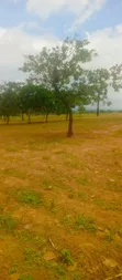 500sqm Residential Land with RofO in Kuje - 1