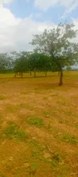 500sqm Residential Land with RofO in Kuje - 2