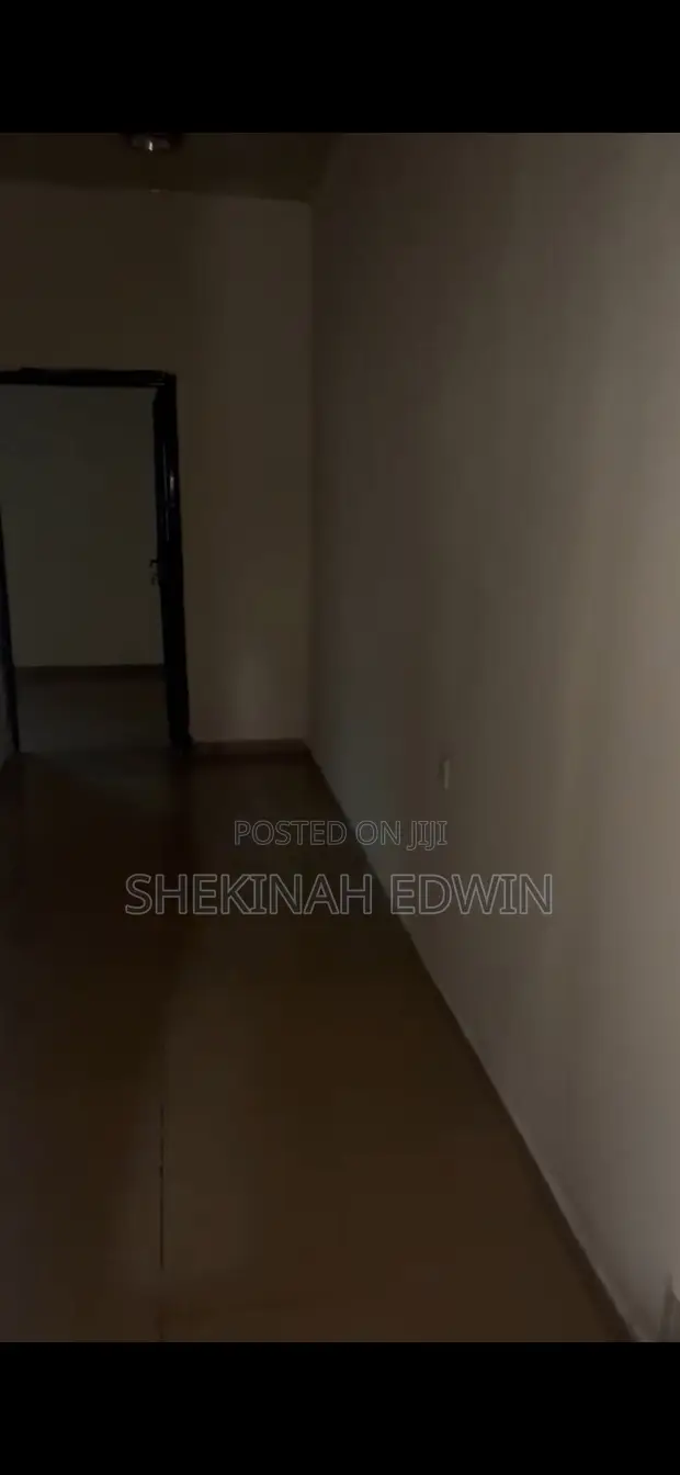 Sheki Cleaning Service - Professional Cleaning - 1
