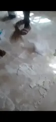Sheki Cleaning Service - Professional Cleaning - 2
