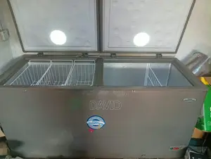 Neatly Used Haier Thermocool 519L Inverter Freezer