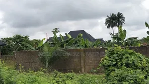 Filin 198 da C of O, Port Harcourt