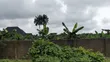 Filin 198 da C of O, Port Harcourt - 2