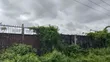 Filin 198 da C of O, Port Harcourt - 3
