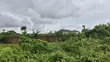Filin 198 da C of O, Port Harcourt - 4