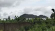 Filin 198 da C of O, Port Harcourt - 5