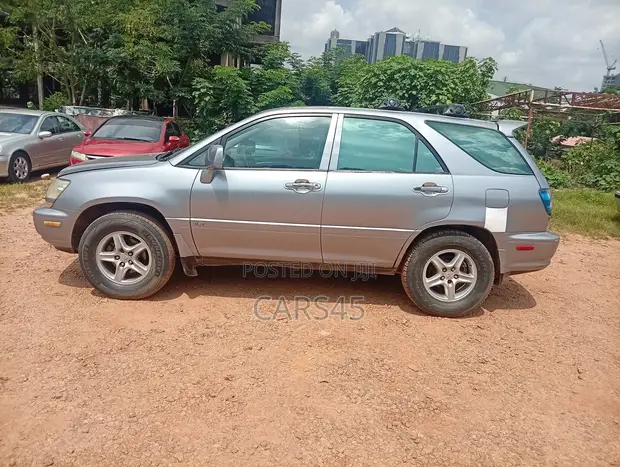 Lexus RX 2002 Grey SUV - 1