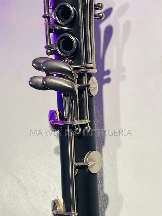 Rugged Branded Professional Clarinet - 1
