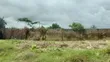 3 Plots na Sayarwa, Sabon GRA Phase 1, Port Harcourt - 4