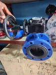 4" x 150 Class Flanged Butterfly Valve - 1